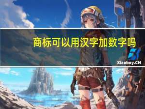 商标可以用汉字加数字吗