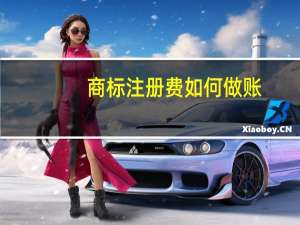 商标注册费如何做账
