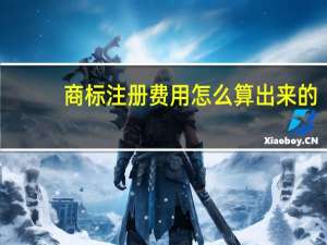 商标注册费用怎么算出来的（商标注册费用多少钱）