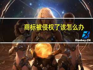 商标被侵权了该怎么办