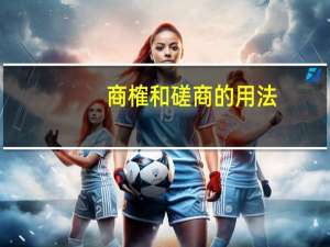 商榷和磋商的用法