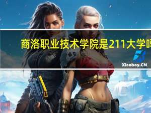 商洛职业技术学院是211大学吗