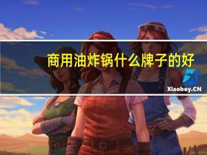 商用油炸锅什么牌子的好