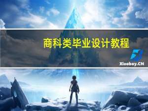 商科类毕业设计教程