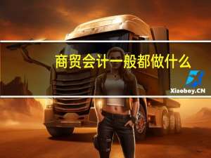 商贸会计一般都做什么