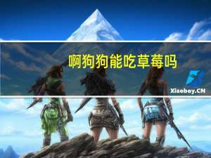 啊狗狗能吃草莓吗