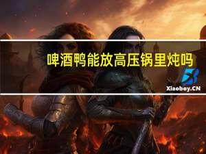啤酒鸭能放高压锅里炖吗
