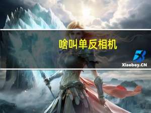 啥叫单反相机（为什么叫单反相机）