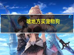 啥地方买宠物狗