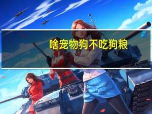 啥宠物狗不吃狗粮