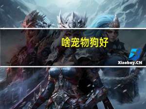 啥宠物狗好