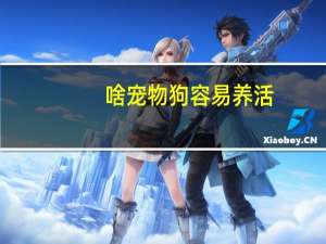 啥宠物狗容易养活