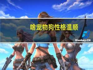 啥宠物狗性格温顺