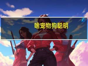 啥宠物狗聪明