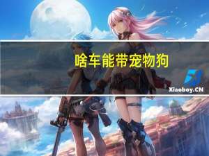 啥车能带宠物狗