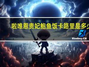 啦唯恩 贵妃鲍鱼饭卡路里是多少
