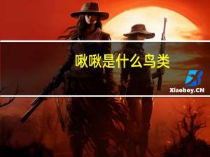 啾啾是什么鸟类（啾啾是什么意思）