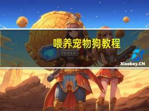 喂养宠物狗教程