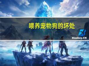 喂养宠物狗的坏处