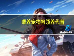 喂养宠物狗领养代替