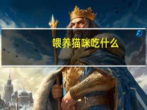 喂养猫咪吃什么