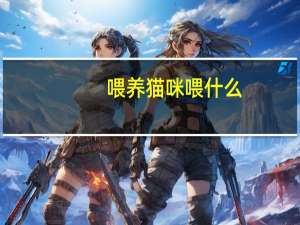 喂养猫咪喂什么