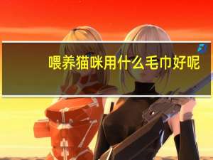 喂养猫咪用什么毛巾好呢