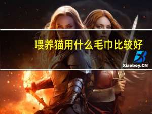 喂养猫用什么毛巾比较好