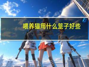 喂养猫用什么笼子好些