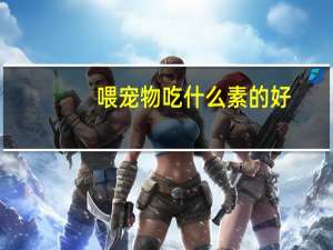 喂宠物吃什么素的好