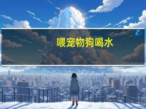 喂宠物狗喝水
