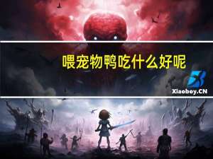 喂宠物鸭吃什么好呢