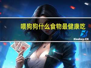喂狗狗什么食物最健康吃
