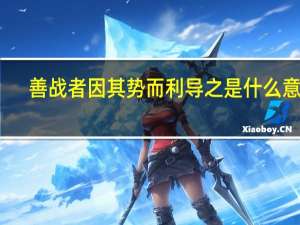 善战者因其势而利导之是什么意思