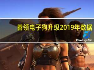 善领电子狗升级2019年数据（善领电子狗怎么升级）