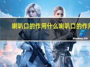 喇叭口的作用什么 喇叭口的作用
