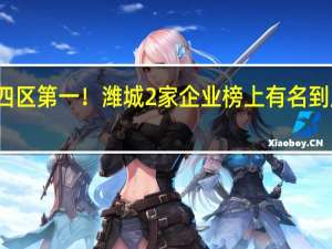 喜报丨四区第一！潍城2家企业榜上有名 到底什么情况嘞