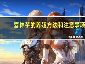 喜林芋的养殖方法和注意事项