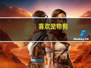 喜欢宠物狗