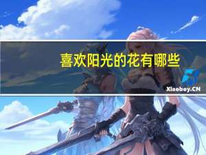 喜欢阳光的花有哪些