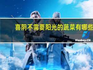 喜阴不需要阳光的蔬菜有哪些