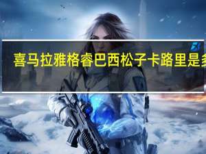 喜马拉雅 格睿巴西松子卡路里是多少