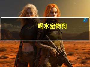 喝水宠物狗