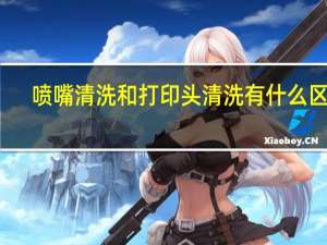 喷嘴清洗和打印头清洗有什么区别（喷嘴清洗）