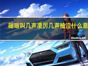 嗡嗡叫几声凄厉几声抽泣什么意思