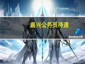 嘉兴 公务员 待遇（嘉兴市公务员待遇）