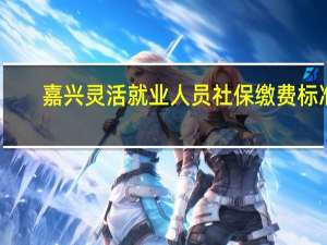 嘉兴灵活就业人员社保缴费标准