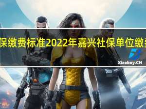 嘉兴社保缴费标准 2022年嘉兴社保单位缴费基数是多少