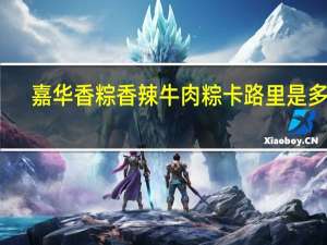 嘉华香粽 香辣牛肉粽卡路里是多少