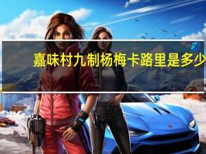 嘉味村 九制杨梅卡路里是多少